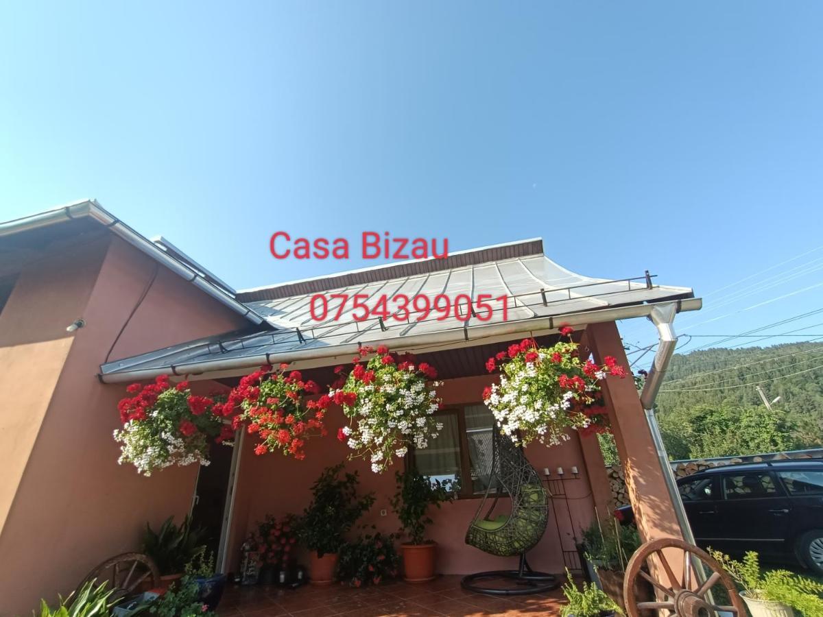 מלון Viseu de Mijloc Casa Bizau מראה חיצוני תמונה